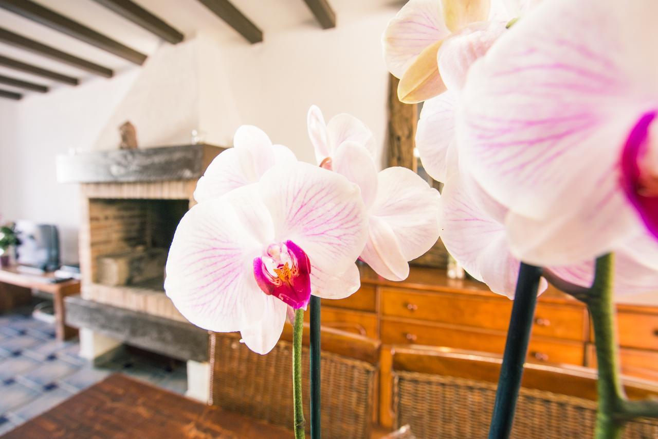 Villa Los Remos コラレホ エクステリア 写真